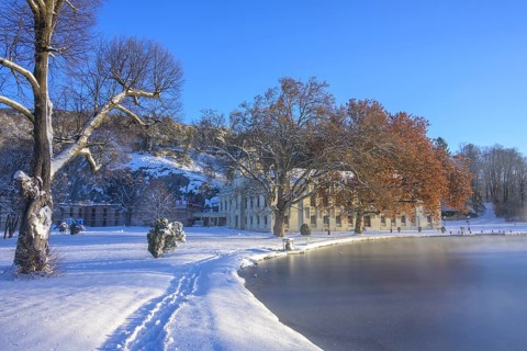 Winter castle and castle pond