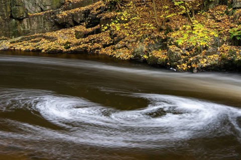 River Bode in the autumnal Harz Mountains