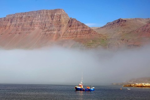 Wall of fog