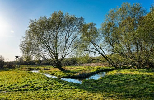 Landscape at the Tegeler Fliess in Luebars