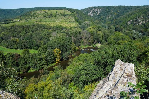 View of a loop of the Thaya and the Sobes vineyard at the Vyhlidka Devet mlynu viewpoint