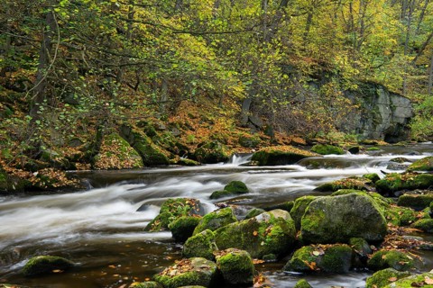 River Bode in the autumnal Harz Mountains