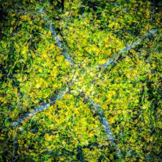 Autumn mosaic