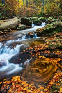 Autumnal Ilse Valley in the Harz Mountains