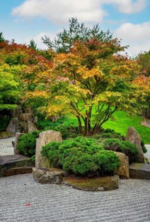 Japanese garden with gravel bed and stone formation