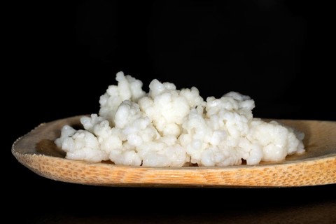 Kefir mushrooms