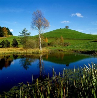 Small pond in the Black Forest