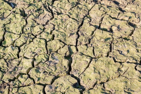 Dry river bed