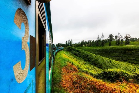 Train ride with the blue train