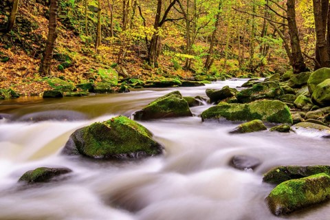 River Bode in the autumnal Harz Mountains