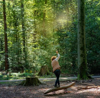 Woman balancing on a log in the forest