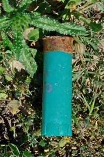 Shotgun shell in the grass