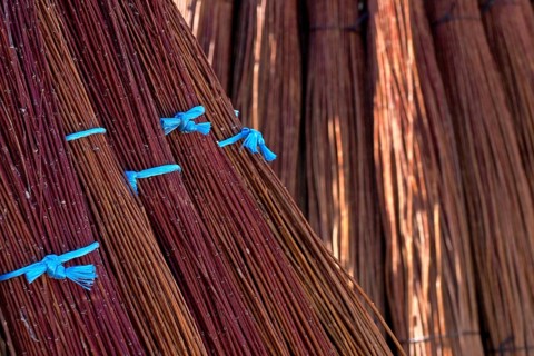 Bundles of brushwood tied with blue ribbon