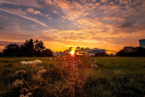 Beautiful sunrise in a field
