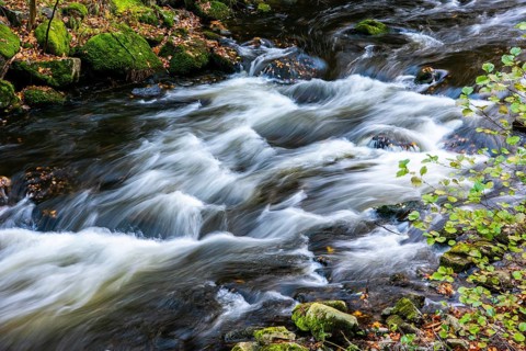 River Bode in the autumnal Harz Mountains