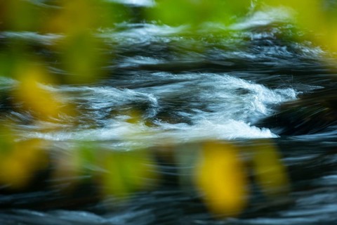 River Bode in the autumnal Harz Mountains