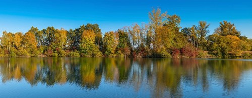 Fish pond on the river Lafnitz in autumn