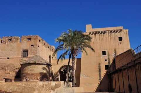 Courtyard of the Marques de los Velez Castle with palm tree