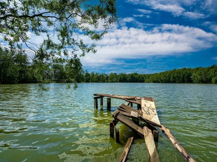 Dilapidated jetty in the Boddensee