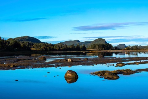 Landscape