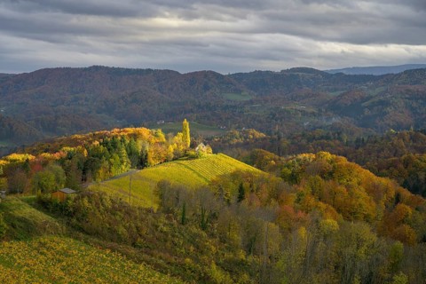 Sun spots on the autumnal landscape