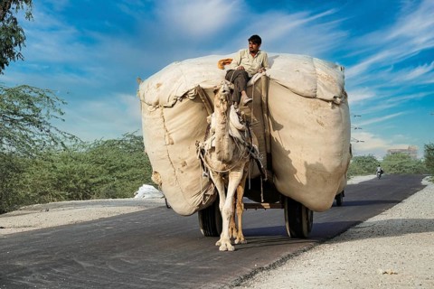 Fully loaded camel cart