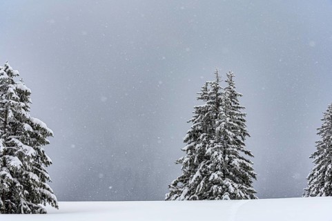 Snow-covered mountain landscape with trees in winter during snowfall