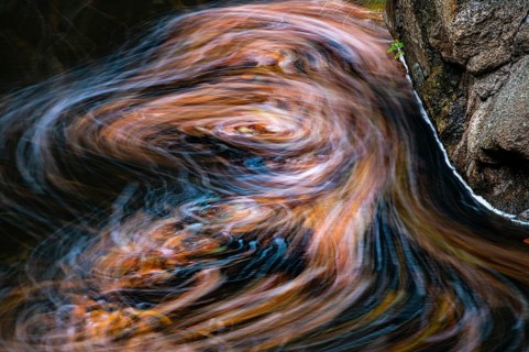 Leaves in the river Bode in the autumnal Harz