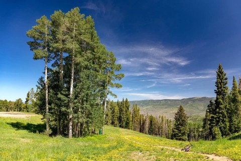 Bike Trail