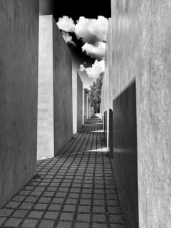 Narrow paved path through cuboid concrete stelae