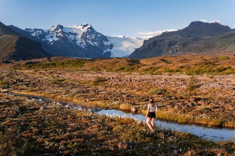 Young woman in nature