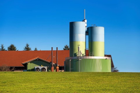 Plant for fodder drying