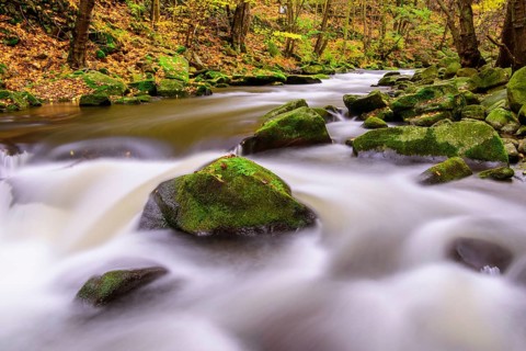 River Bode in the autumnal Harz Mountains
