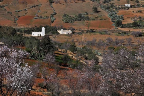 White houses and almond blossom in the Rif Mountains