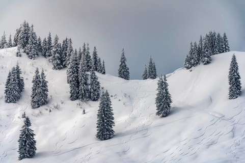 Snowy mountain landscape with trees in winter