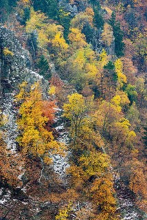 First snow on the autumnal slopes of the Bode Valley in the Harz Mountains