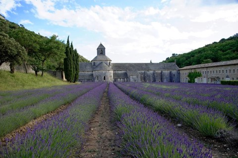 Cistercian abbey Abbaye Notre-Dame de Senanque