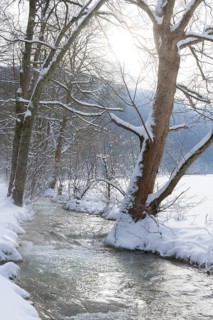 Watercourse Bruehlbach