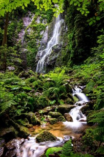 The Burgbach waterfall in the middle of the green forest. Waterfall in Schapbach