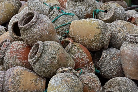 Clay jars filled with seaweed for lobster fishing