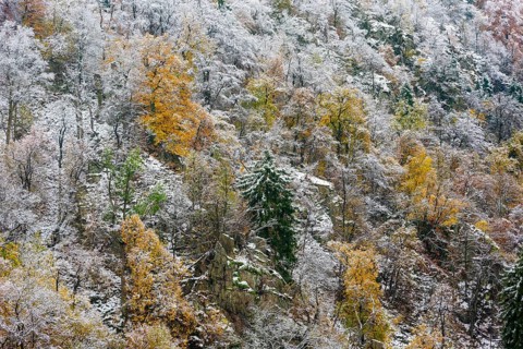 First snow on the autumnal slopes of the Bode Valley in the Harz Mountains