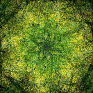 Autumn mosaic