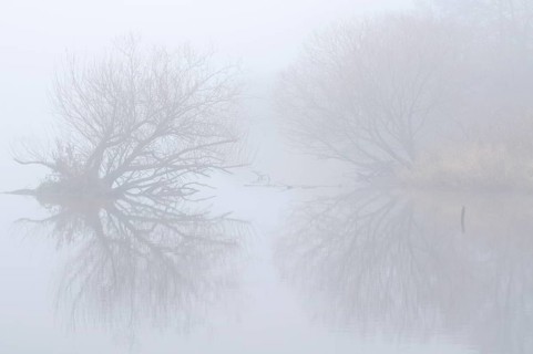 Ems oxbow lake in the fog