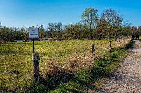 Landscape at the Tegeler Fliess in Luebars