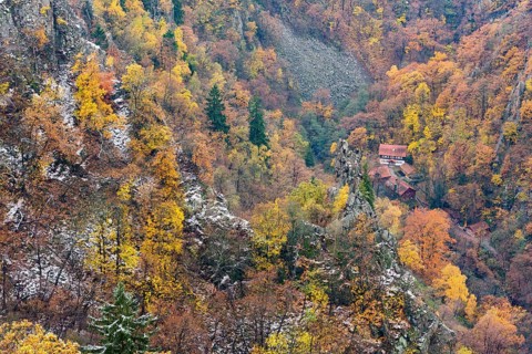 First snow on the autumnal slopes of the Bode Valley in the Harz Mountains