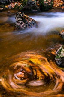 River Bode in the autumnal Harz Mountains