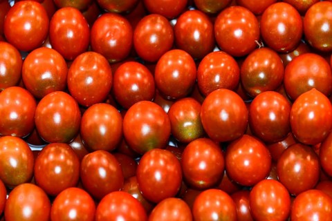 Tomatoes