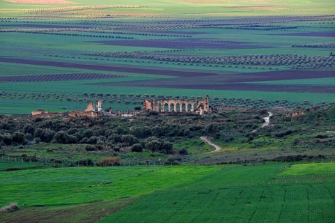 Ancient Roman Ruins Volubilis near Moulay Idriss