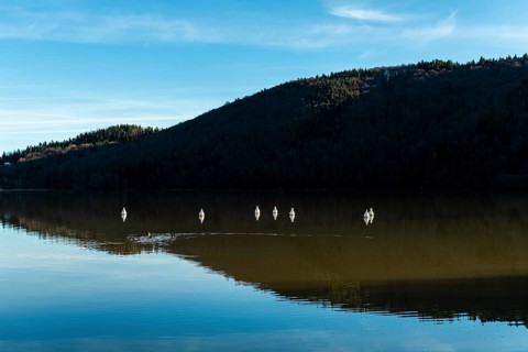 Lake Chambon