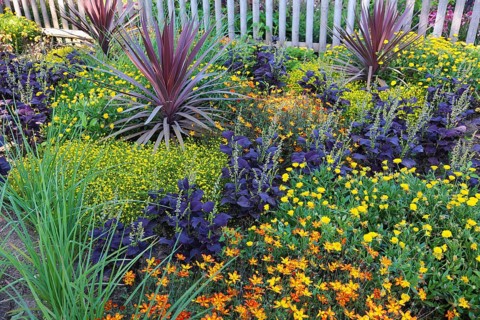 Garden of Eden